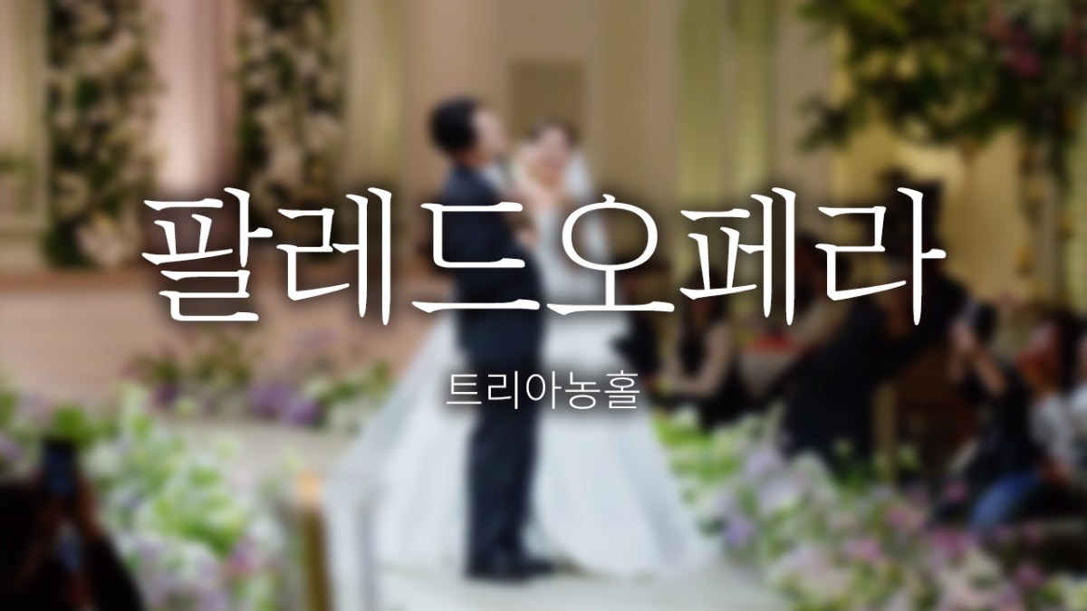 팔레드 오페라 | 트리아농홀 | 스탠다드 | 뮤직비디오 | 대표지정